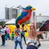 Feria_de_las_flores_6