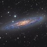 <b>Floating Metropolis -- NGC 253 (Australia)</b>