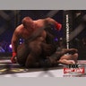 Fox_Fight_Game____Fedor_v__Rogers19