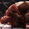 Fox_Fight_Game____Fedor_v__Rogers22