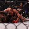 Fox_Fight_Game____Fedor_v__Rogers25