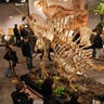 Parisian Dinosaur Auction