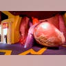 The Franklin Institute's Famous Giant Heart