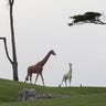 Giraffe Statues Dotcom Mansion Reuters