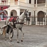 Granada_Carriage_Ride