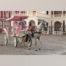 Granada_Carriage_Ride