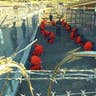 Guantanamo_AP_2002