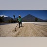 Guatemala_Coffee_Rust_Grat