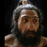 Homo_Neanderthalensis_2