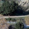 Human Head Found Los Angeles Police Canyon
