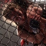 Cyborg vs. Coenen