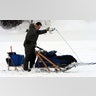 Iditarod_Sled_Dog_Rac_Hein_12_