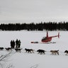 Iditarod_Sled_Dog_Rac_Hein_14_