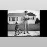 In_Praise_of_the_Postman_Life