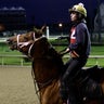 Kentucky_Derby_Horse__Hein_12_