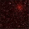 Stars in Kepler's Sight