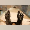 The Feet of Tut