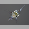 Crab Larva