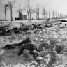 LIFE_Battle_Bulge_7