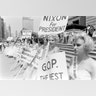 LIFE_gop_fox_3
