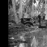 LIFE_guadalcanal_10