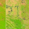 Landsat_Mexico_Forest_88