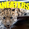 Man-Eaters!