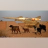 Libya_Missle_Goats_One