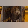 Bolivian lions arrived at The Wild Animal Sanctuary in Keensburg, Colorado