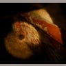 Mayan_Tomb_13