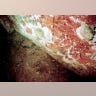 Mayan_Tomb_16