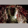 Mayan_Tomb_17