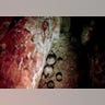 Mayan_Tomb_19