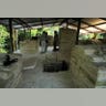 Mayan_Tomb_21
