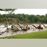 Mex_Tex_flooding_6