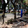Mexico_Earthquake_Garc