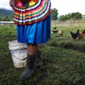 Mexico_Zapatista_Community__3_