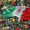 Mexico_fans