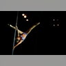 Miss_Pole_Dance_2013__2_