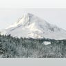 Mount Hood Survivors