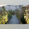 Mountain_View_Googleplex20