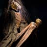 Mummy_of_Adult_Female_Credit_American_Exhibitions__Inc