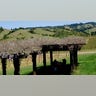 Navarro_picnick_area