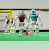 Netherlands_RoboCup_7