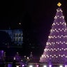 Obama_National_Christmas_Tree__erika_garcia_foxnewslatino_com_39