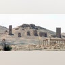 Palmyra11