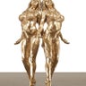 Pam's Bronzed Twins for Sale