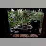 Peru_Cocaleros_Photo__Garc_12_