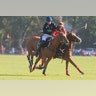 Polo_Felipe_Viana_2