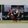 Polo_Remy_Muller
